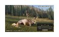 Thumbnail4