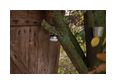Thumbnail5