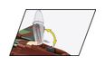 Thumbnail5