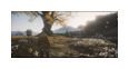 Thumbnail5