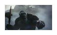 Thumbnail5