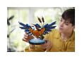 Thumbnail5