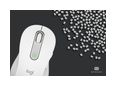 Thumbnail5