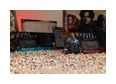 Thumbnail5