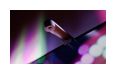 Thumbnail5