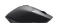 Thumbnail5