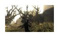 Thumbnail5