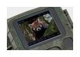 Thumbnail5