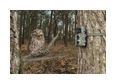 Thumbnail5