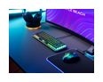 Thumbnail5