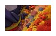 Thumbnail6