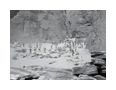 Thumbnail6