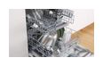 Thumbnail6