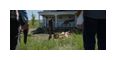 Thumbnail6