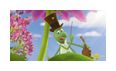 Thumbnail6