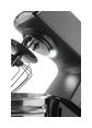 Thumbnail6