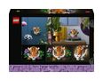 Thumbnail6