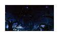 Thumbnail6