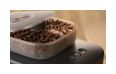 Thumbnail6