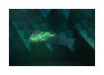 Thumbnail6