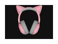 Thumbnail6