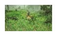Thumbnail6