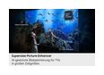 Thumbnail6
