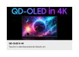 Thumbnail6