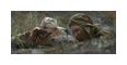 Thumbnail6
