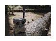 Thumbnail6