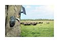 Thumbnail6