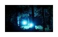 Thumbnail6