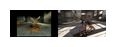 Thumbnail6