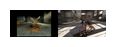Thumbnail6