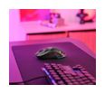 Thumbnail6