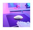 Thumbnail6