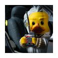 Thumbnail6