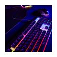 Thumbnail6