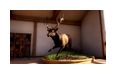 Thumbnail6