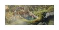 Thumbnail6