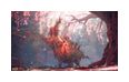 Thumbnail6