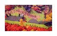 Thumbnail7