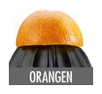 Thumbnail7
