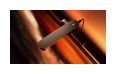Thumbnail7