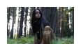 Thumbnail7