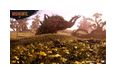 Thumbnail7