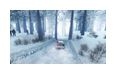Thumbnail8