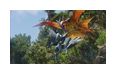 Thumbnail8