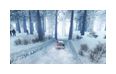 Thumbnail8