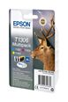 Thumbnail8